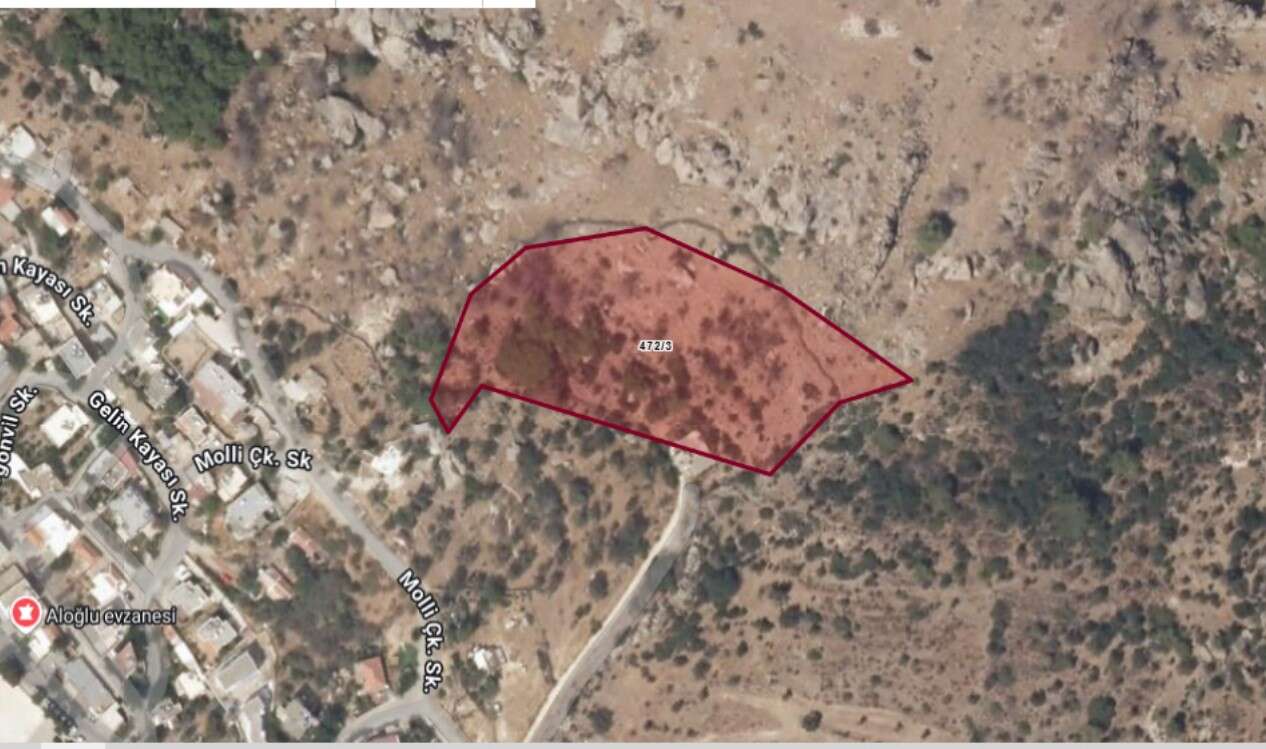 Muğla’da 6 Arsa İhaleyle Satışa Çıkıyor: Bodrum ve Milas’ta Fiyatlar Belli Oldu 1
